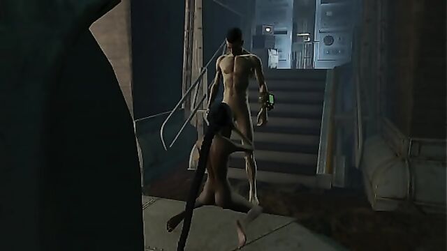 Fallout Porn