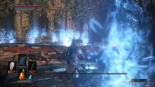 Epic Dark Souls Battle Meets Evangelion in Steamy Hentai Showdown